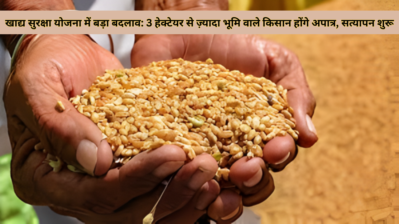 खाद्य सुरक्षा योजना में बड़ा बदलाव: 3 हेक्टेयर से ज़्यादा भूमि वाले किसान होंगे अपात्र, सत्यापन शुरू